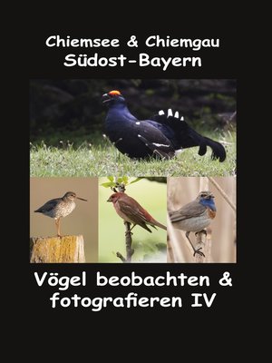 cover image of Chiemsee & Chiemgau Südost-Bayern